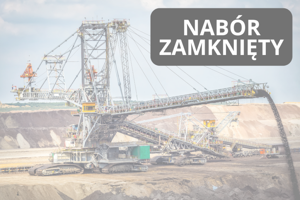 GOSPODARKA W TRANSFORMACJI (ŁÓDZKIE)